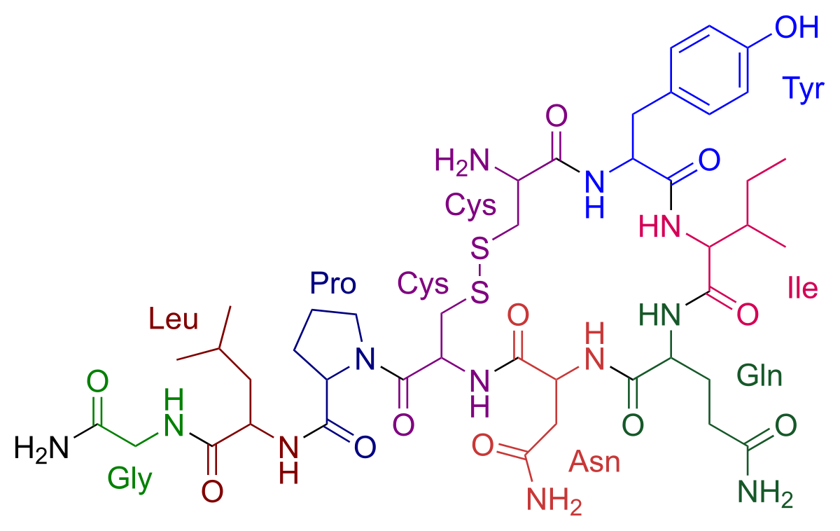 Oksitosin formülü